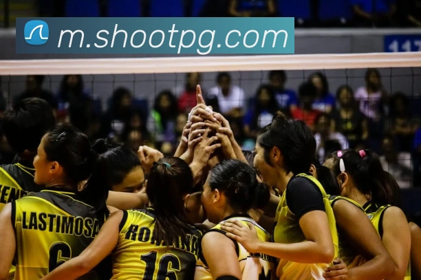 pg官网平台生态图